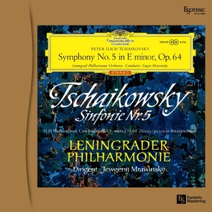 ESLD-10004 LP Tchaikovsky Symphony No.5